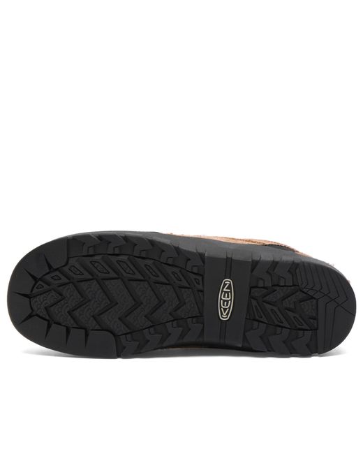 Keen Brown Jasper Rocks