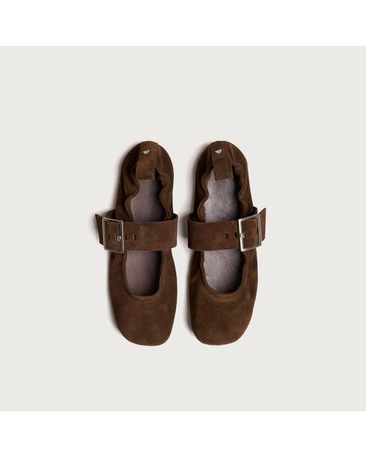 Alohas Brown Sarea Leather Ballet Flats