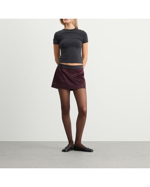 Skims Gray Sheer Tights