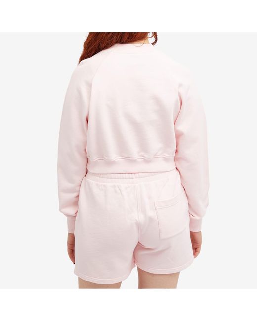 Casablancabrand Pink Equipement Sportif Crop Sweater