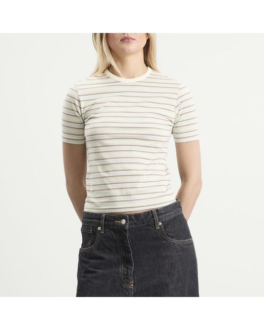 Auralee Natural Gradient Stripe T-Shirt