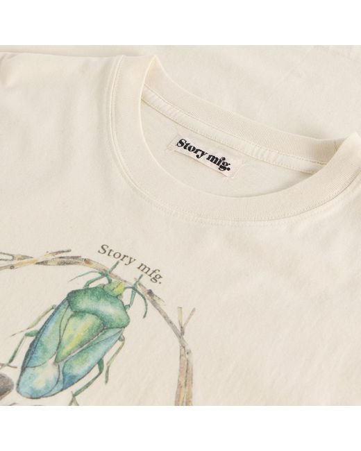 STORY mfg. Natural Grateful T-Shirt