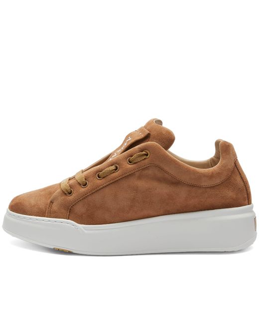 Max Mara Brown Maxisf Cour Sneakers