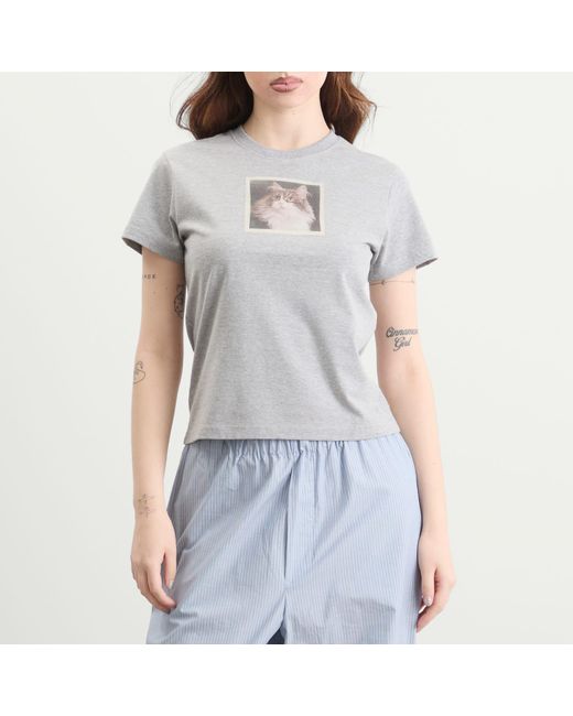 Fruity Booty Gray Cat T-Shirt