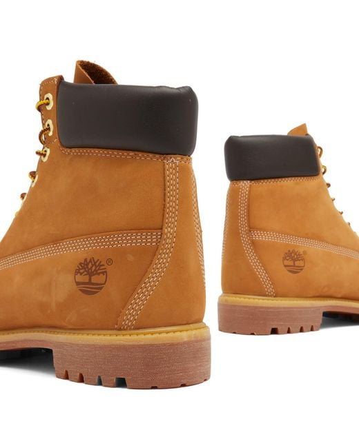 Timberland Brown 6" Premium Boot for men