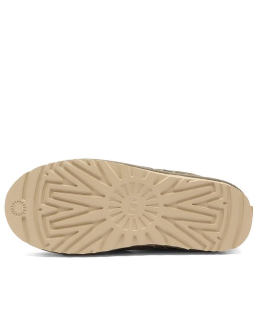 Ugg Brown Tasman Lace