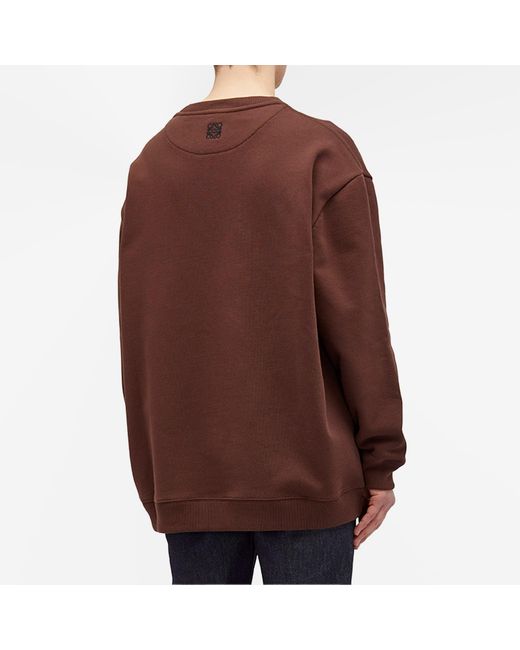 Loewe Brown Bird Sweater for men