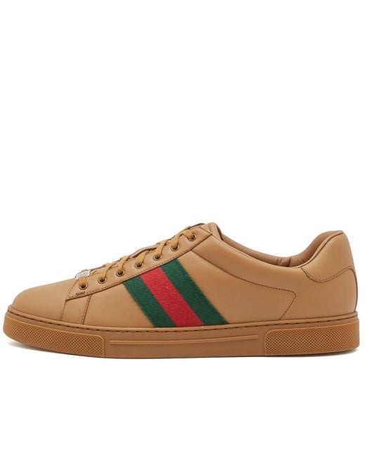 Gucci Brown Lace Sneakers for men