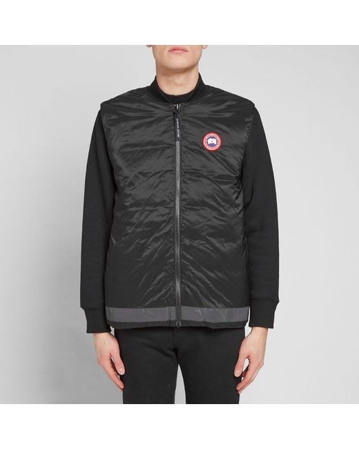 canada goose garibaldi