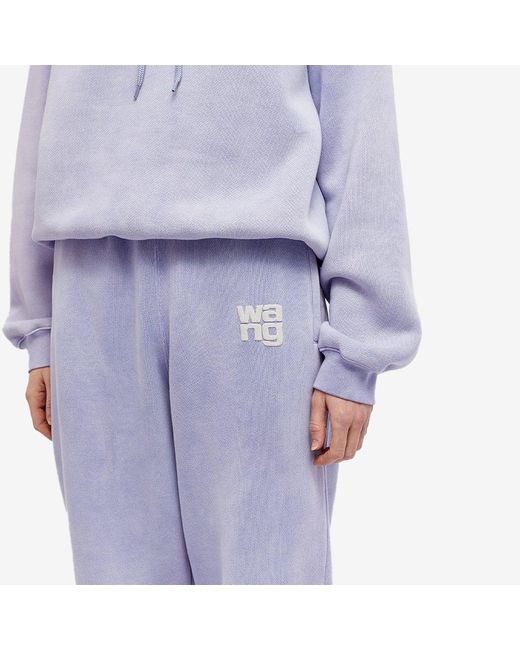Alexander wang best sale sweat