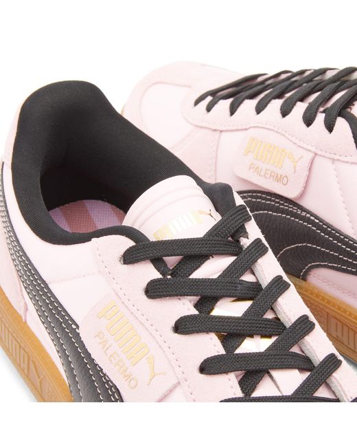 PUMA Pink Palermo Fc Sneakers