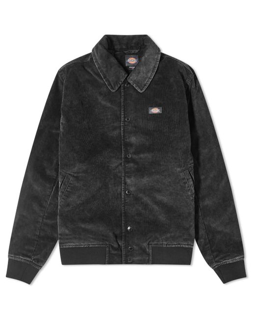 Dickies Black Chase City Jacket for men