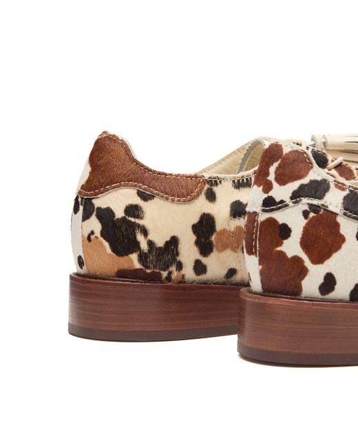 Adidas Originals Brown X Clot Superstar Dress Sneaker for men