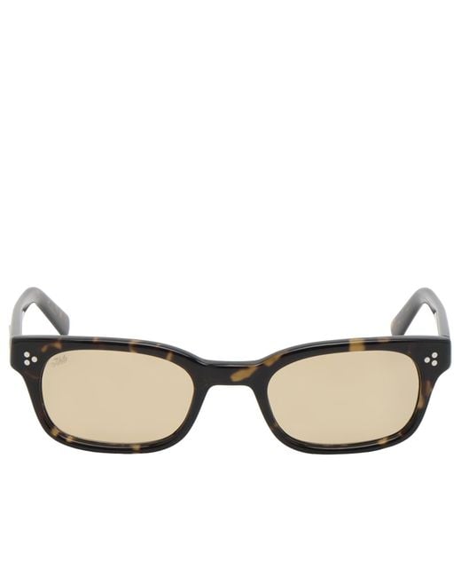 AKILA Multicolor Tracer Sunglasses
