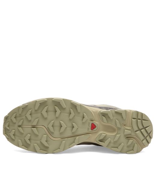 Salomon Multicolor Xt-6 Gtx Sneaker