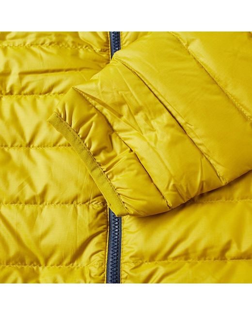 patagonia yellow sweater