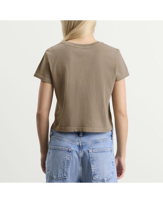 Agolde Brown Adine Shrunken T-Shirt