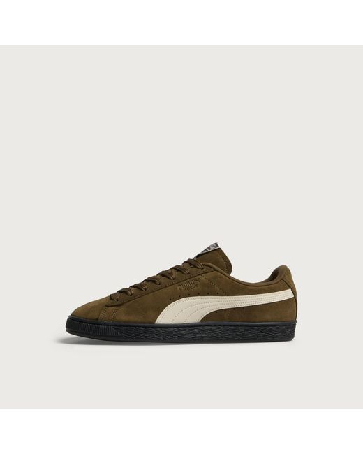 PUMA Brown Suede Sneaker for men