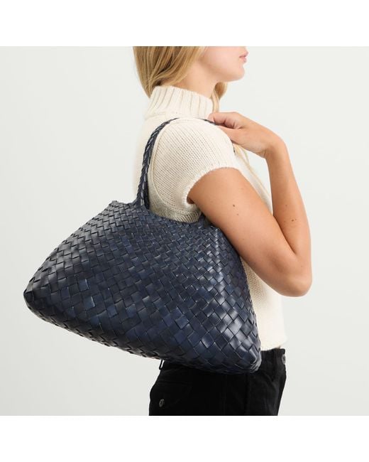 Dragon Diffusion Blue Santa Croce Large Presented By End