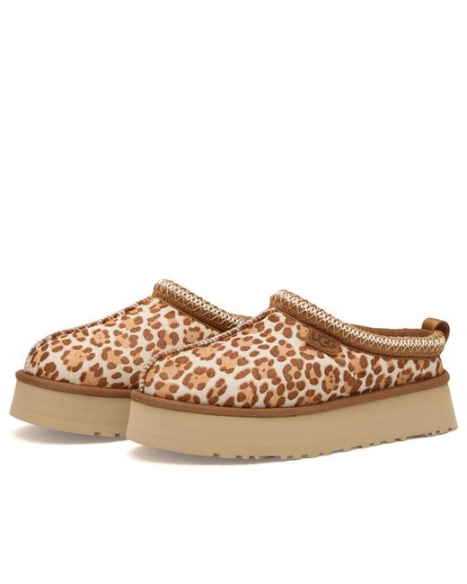 Ugg Brown Tazz Plains