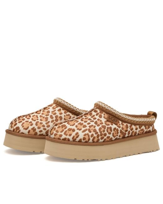 Ugg Brown Tazz Plains