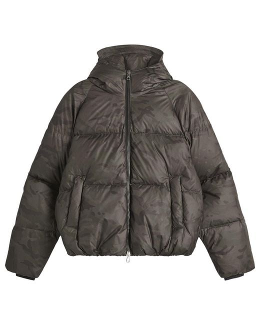 Cole Buxton Gray Stealth Hooded Down Jacket for men
