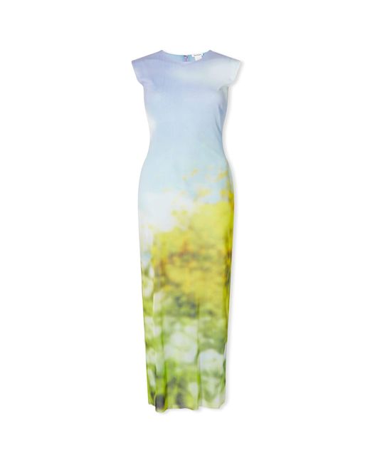 Acne Multicolor Landscape Maxi Dress