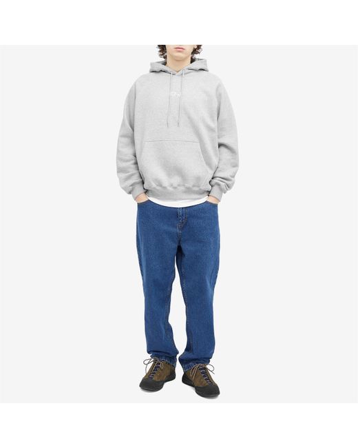 POLAR SKATE Gray Default Hoodie for men