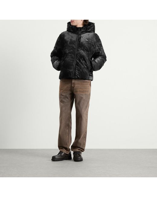 Dime Black Wavy Puffer for men