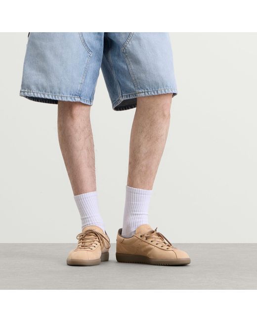 Adidas Natural Tobacco Super Sneaker for men