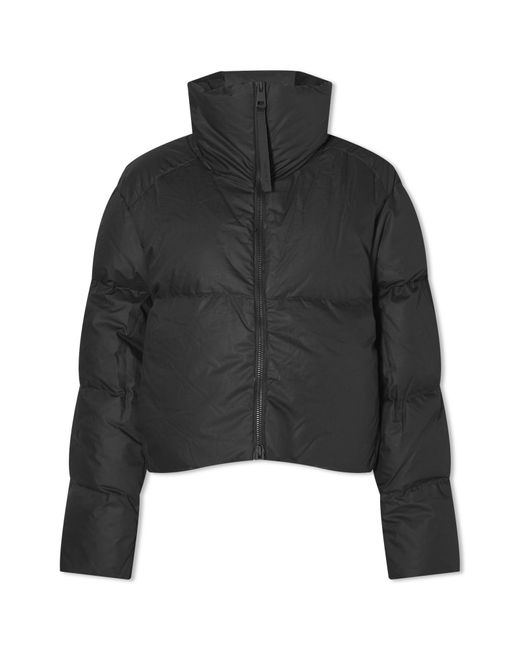 Canada Goose Black Garnet Cropped Puffer Jacket