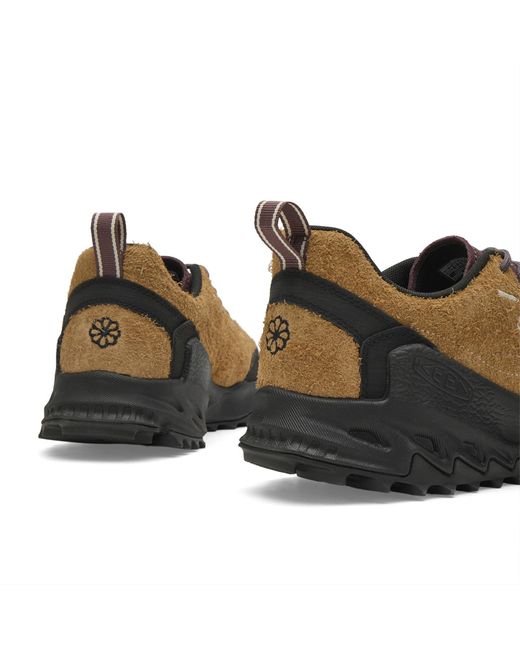 Keen Brown Jasper Zionic for men
