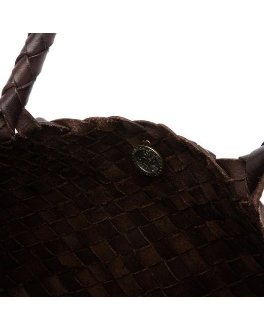 Dragon Diffusion Brown Santa Croce Large Bag