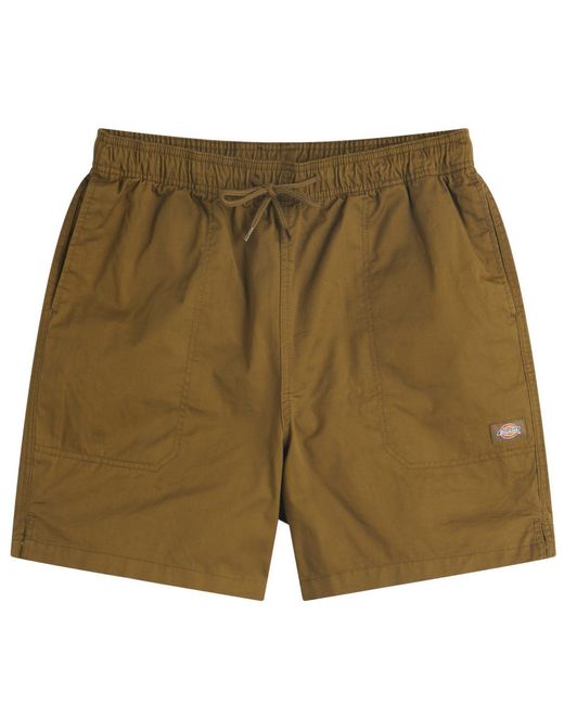 Dickies Green Pelican Rapids Swim Shorts for men