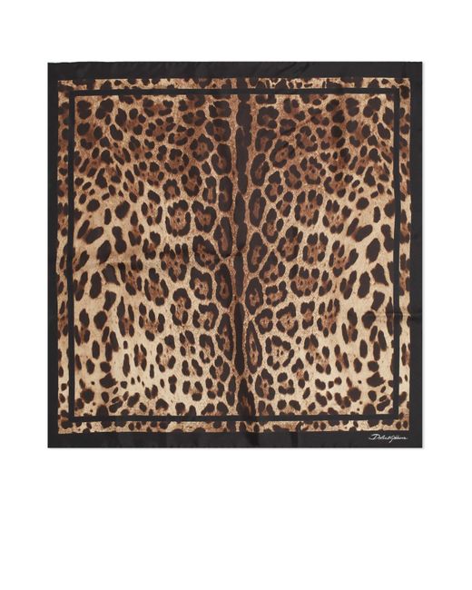 Dolce & Gabbana Natural Leopard Scarf