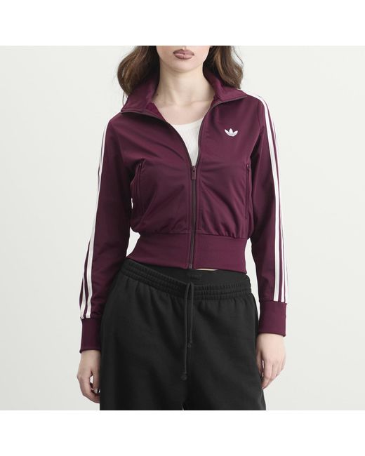 Adidas Purple Classic Firebird Track Top