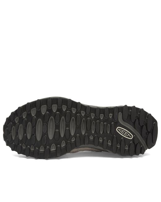 Keen Brown Jasper Zionic for men