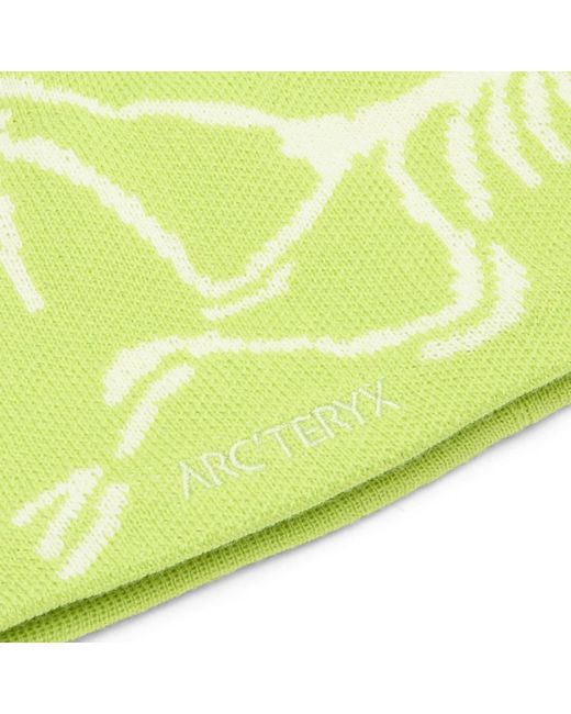 Arc'teryx Green Bird Head Toque