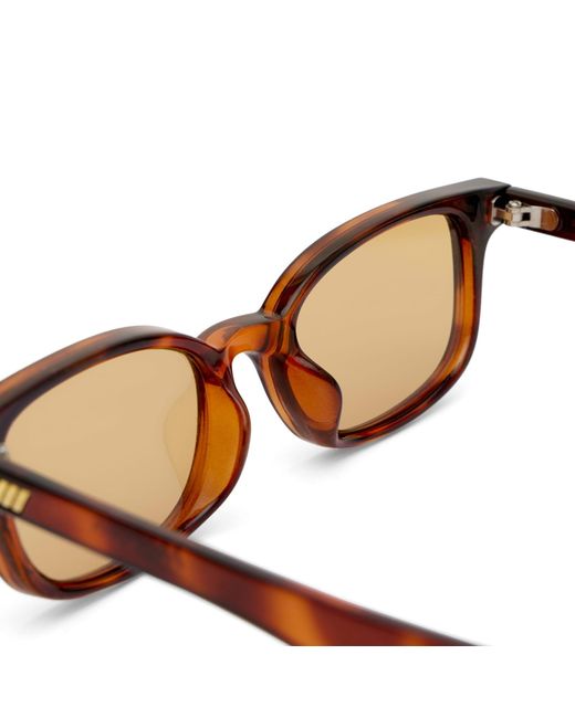 Le Specs Brown Echelon + Sunglasses