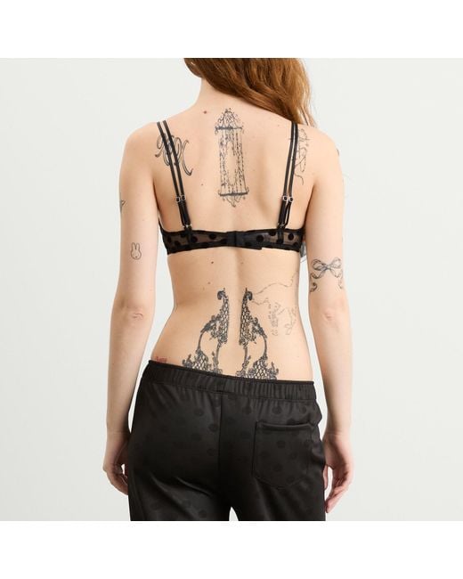 Fruity Booty Black Flock Polka Bra