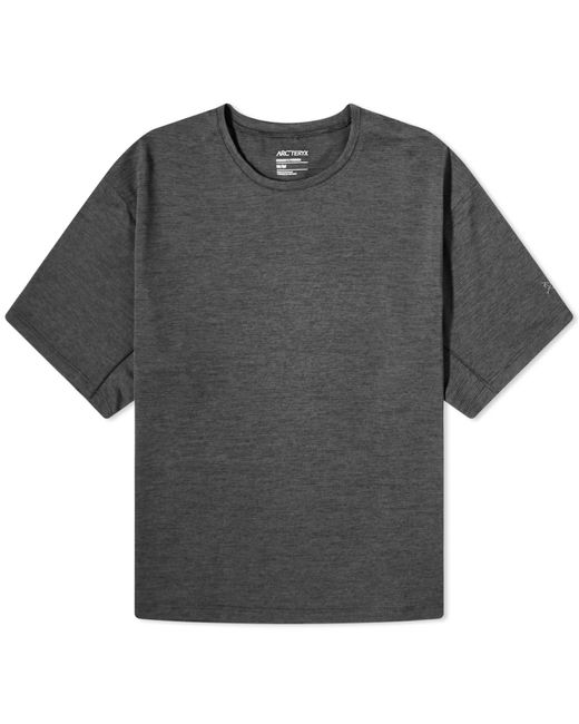 Arc'teryx Gray Taema Crop T-shirt