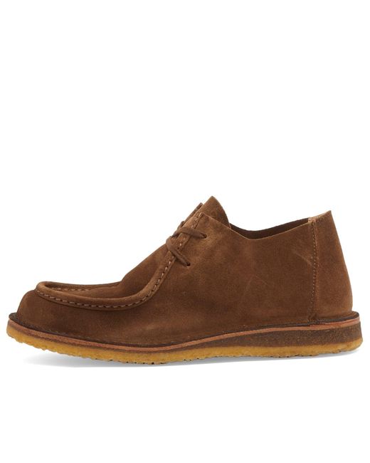 Astorflex Brown Beenflex Shoe for men