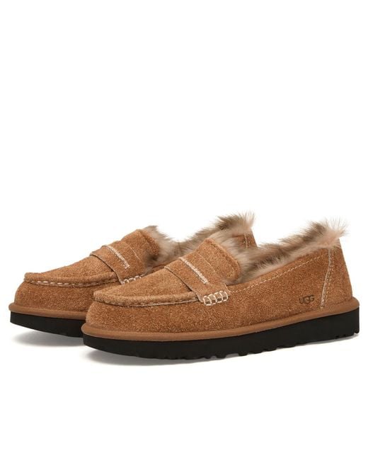 Ugg Brown Ellis Loafer