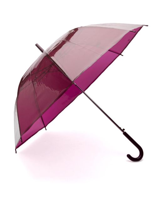 Hay Purple Canopy Umbrella