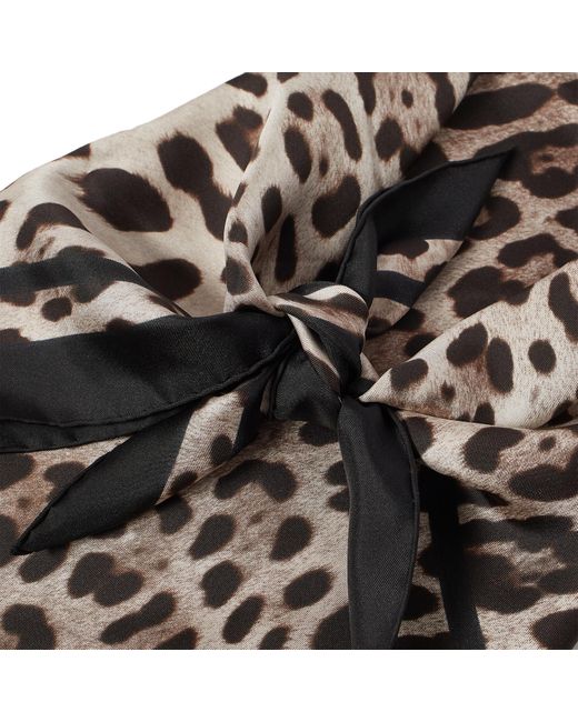 Dolce & Gabbana Natural Leopard Scarf