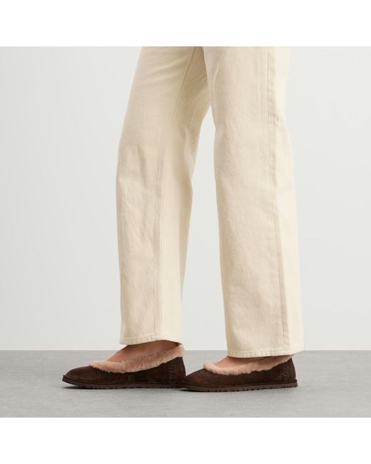 Ugg Brown Zora Ballet Flat