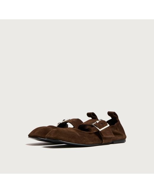 Alohas Brown Sarea Leather Ballet Flats
