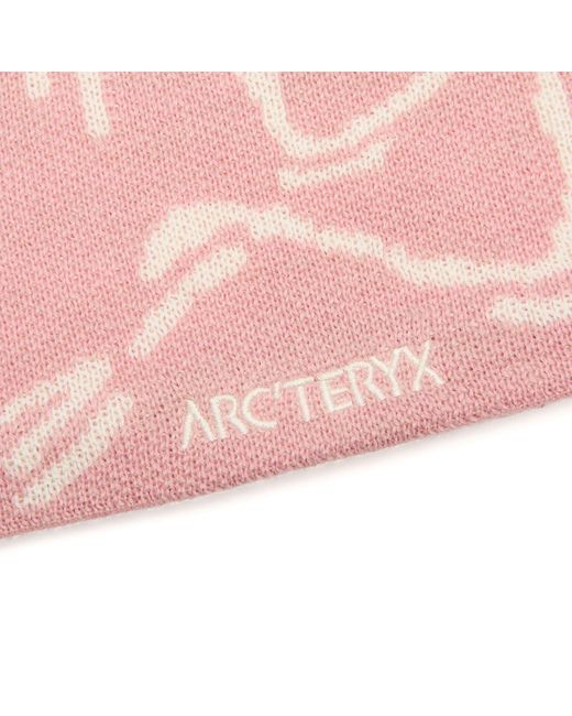 Arc'teryx Bird Head Toque in Pink for Men | Lyst UK
