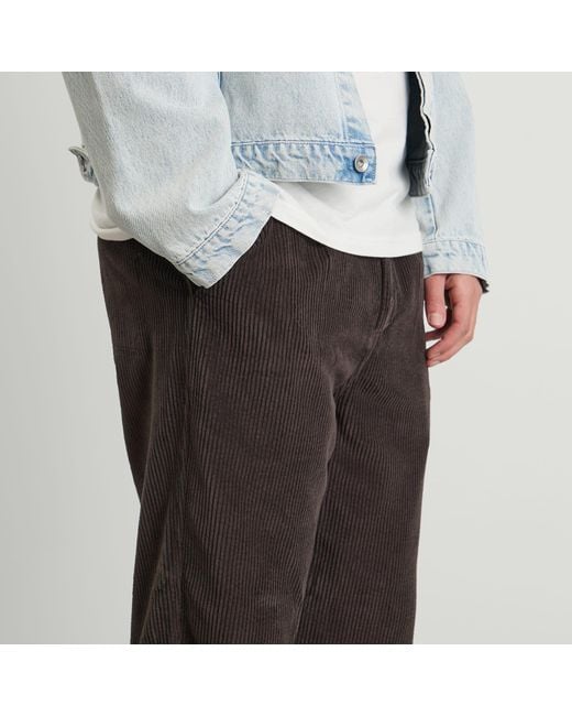 Folk Brown Signal Pant for men