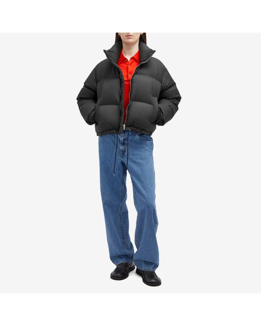 AURALEE Super Light Nylon Ripstop Down Blouson in Black | Lyst AURALEE Super Light Nylon Ripstop Down Blouson in Black | Lyst